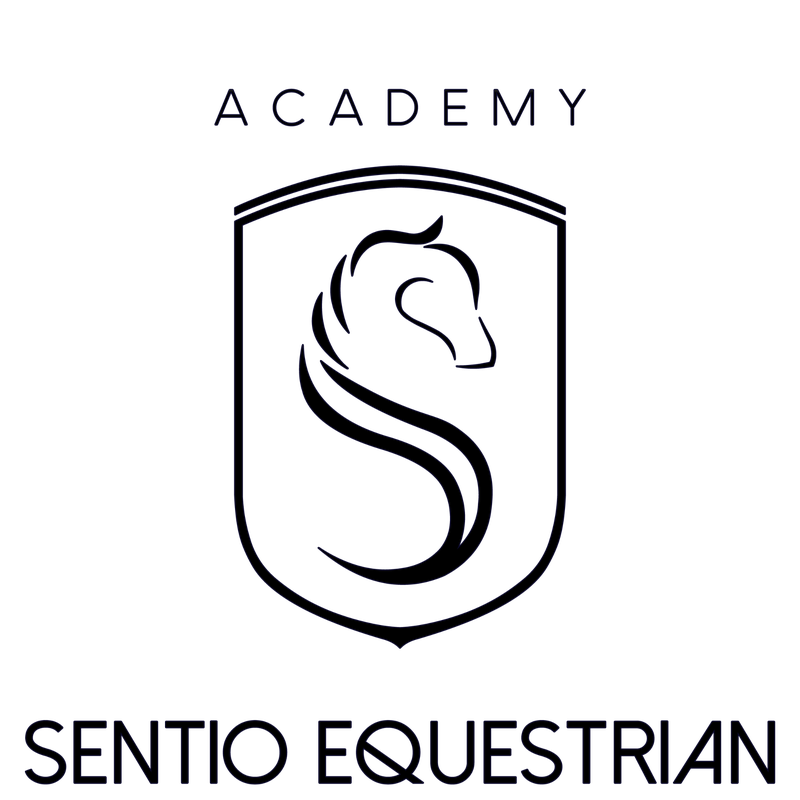 Sentio Equestrian
