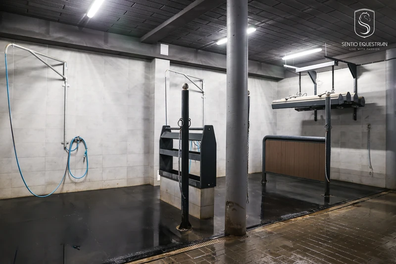 Stanowisko pielęgnacji koni z solarium i gumową podłogą
