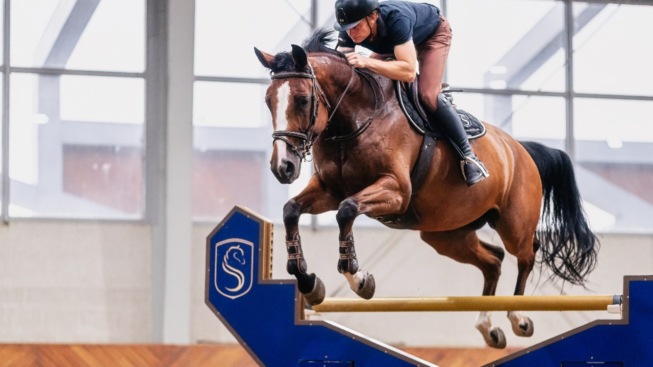 Koń i jeździec w skoku przez przeszkodę w hali Sentio Equestrian