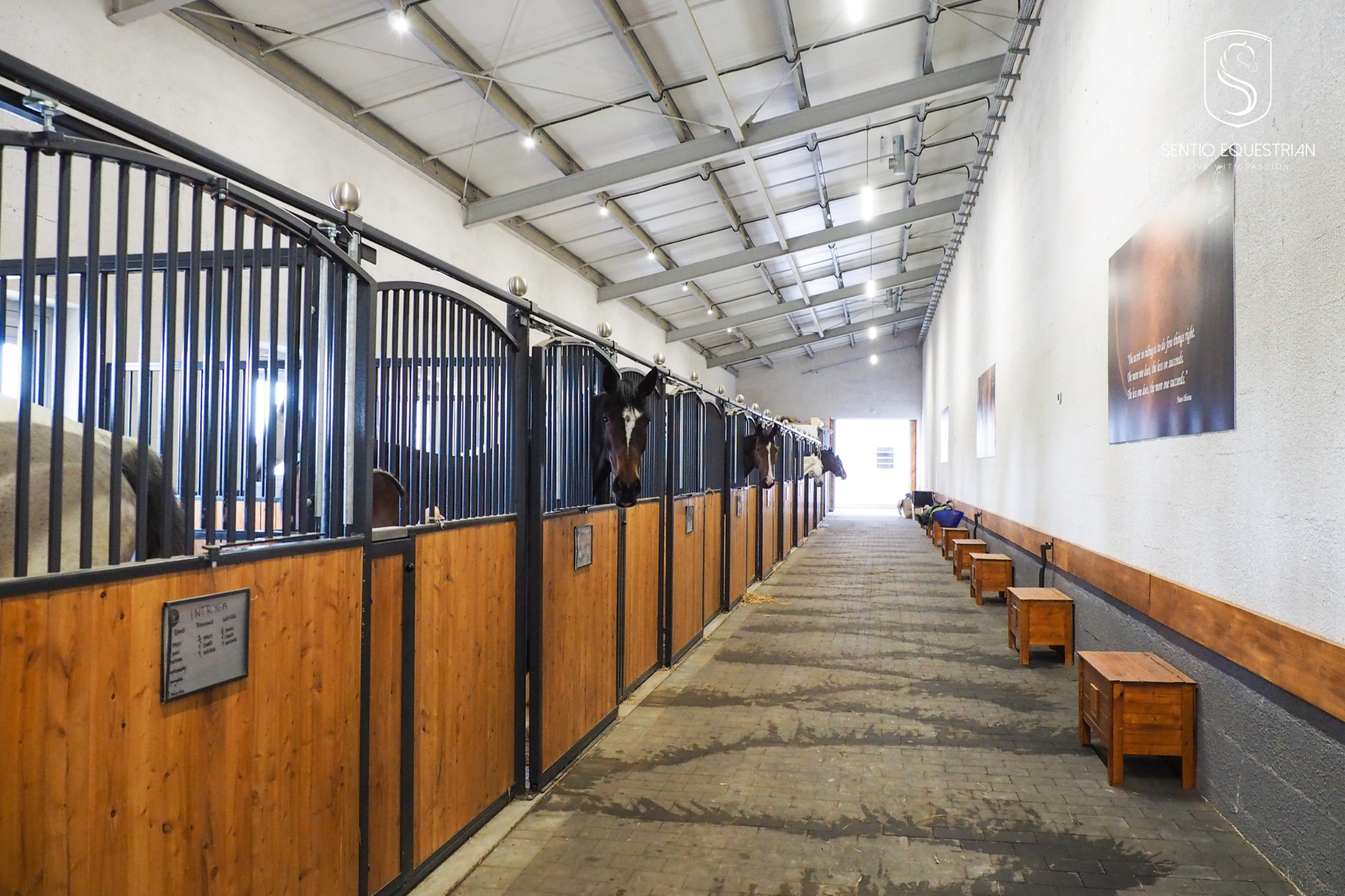 Przestronne, jasne boksy