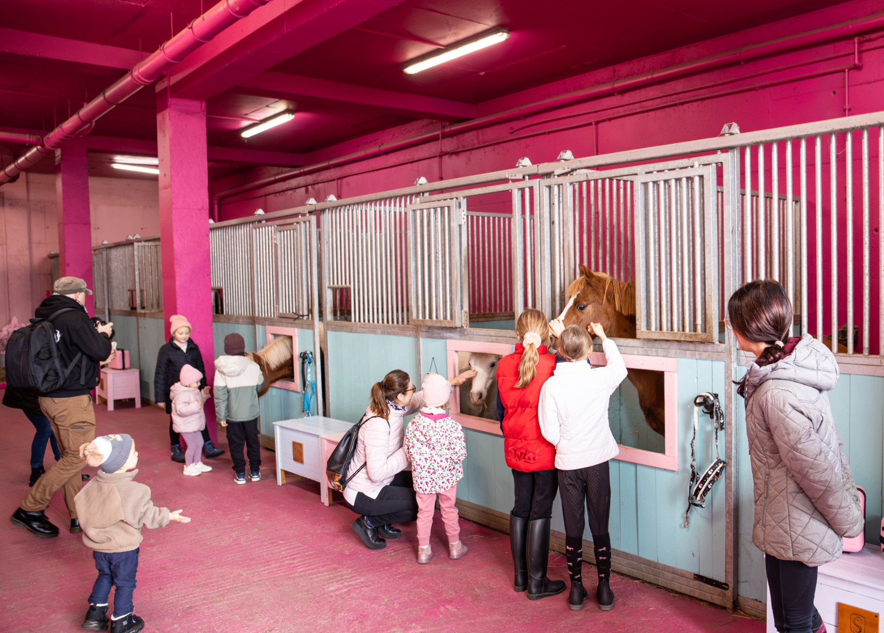 Dzieci poznające kucyki w stajni — Kucykowy Zawrót Głowy