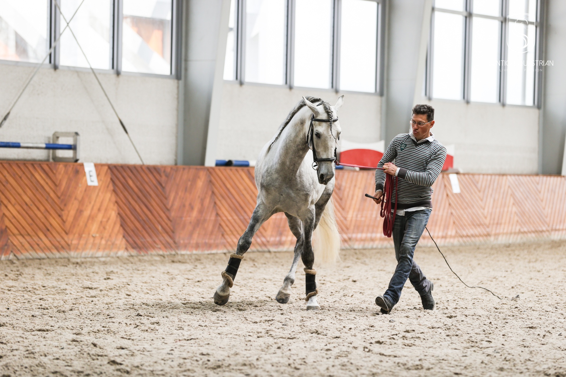 Praca z ziemi — fundament jeźdźca