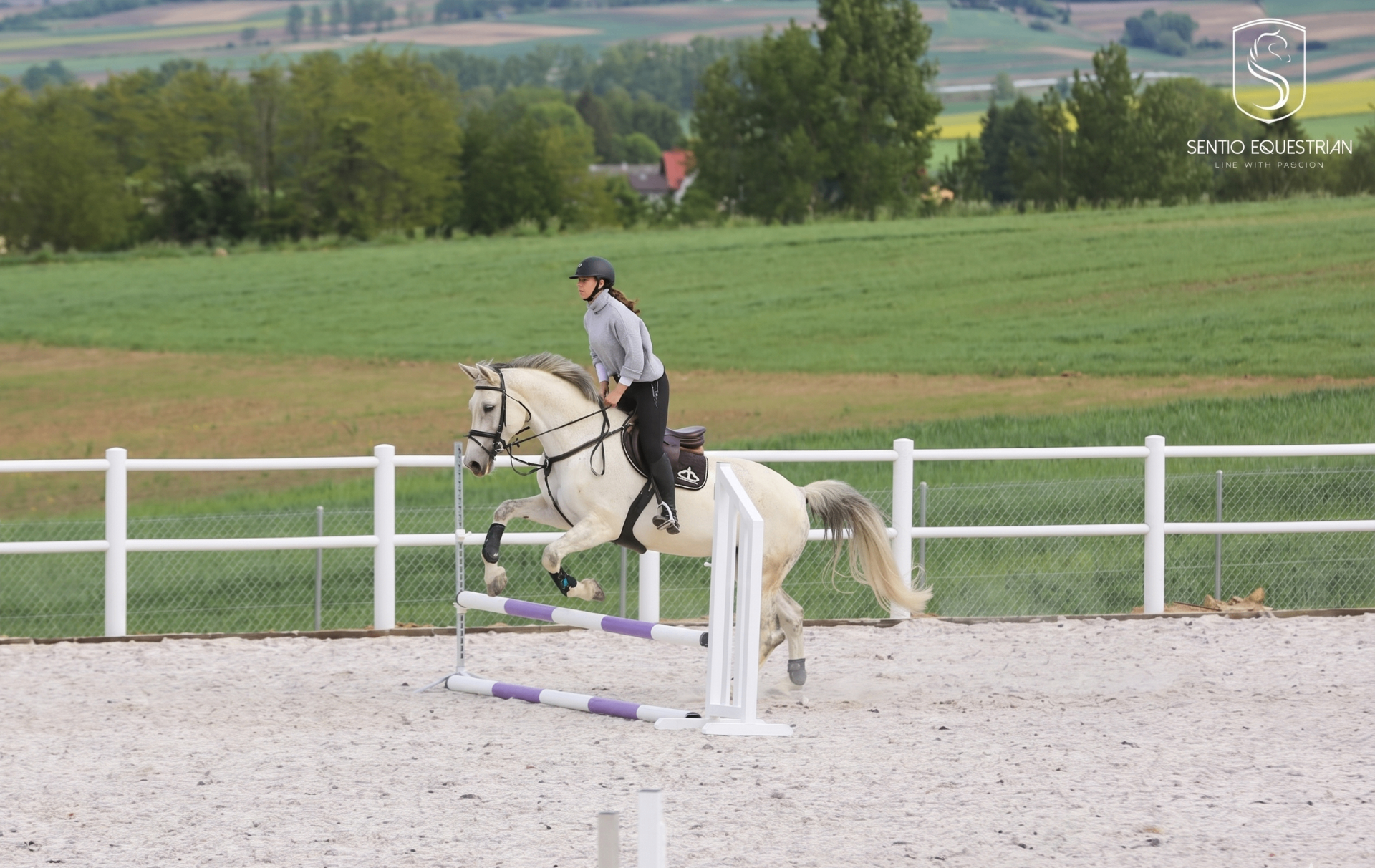 Sport — Sentio Academy