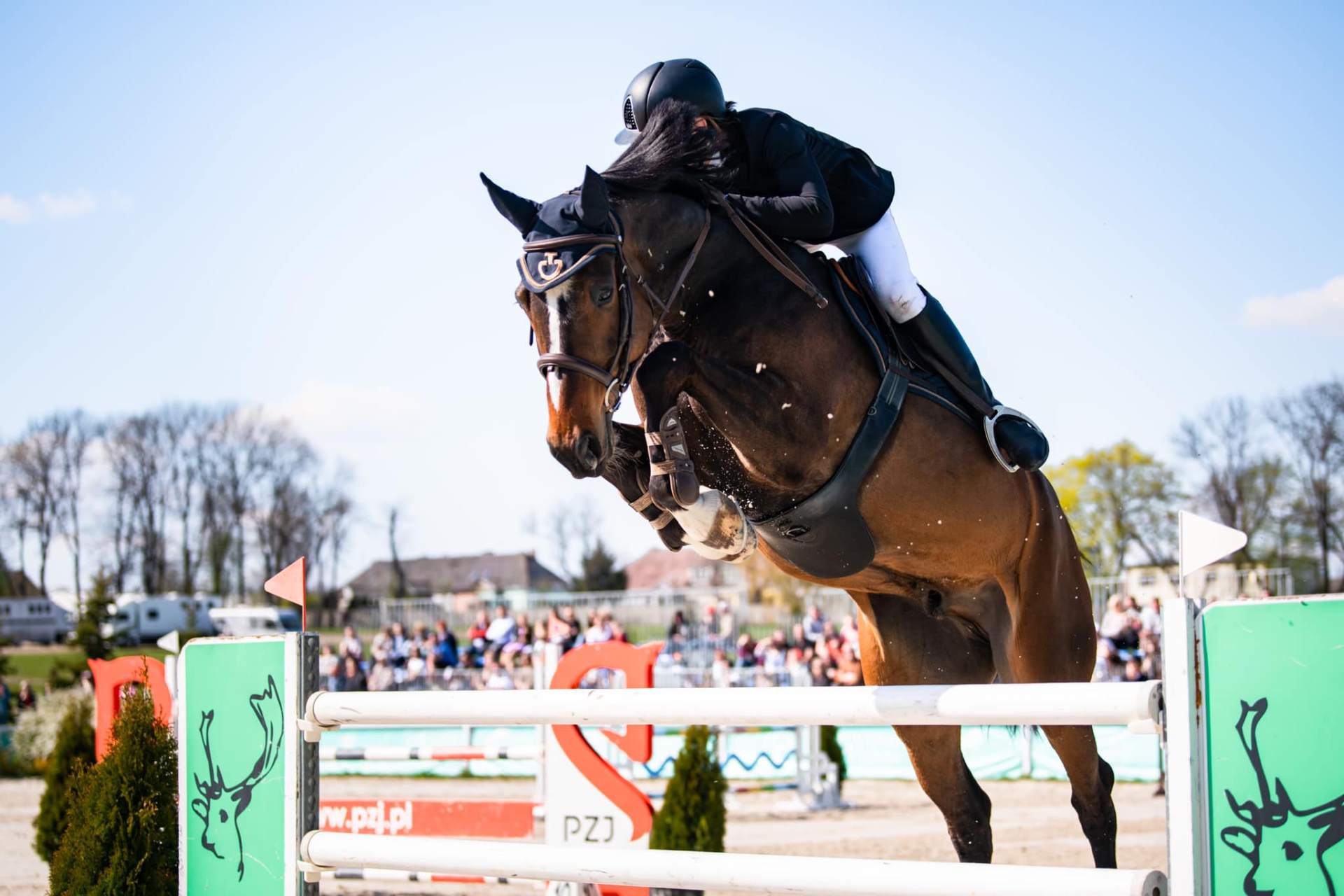 Zawody — zdjęcie 1