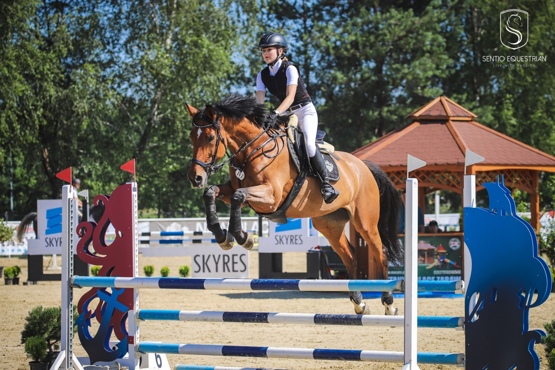 Zawody — zdjęcie 3